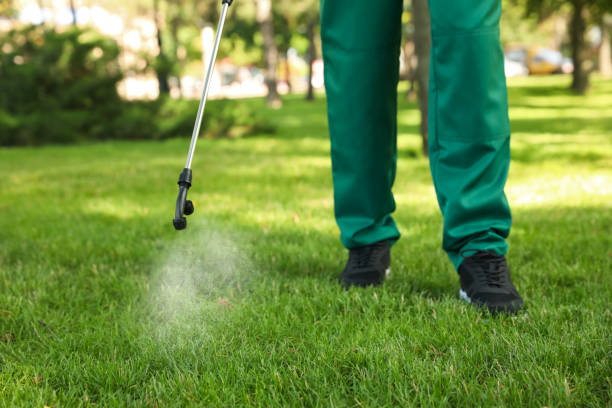 Best Pest Control Near Me  in Barker Heights, NC