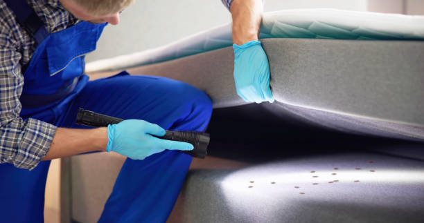 Best Pest Control Near Me  in Barker Heights, NC