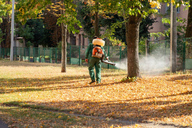 Best Mosquito Control Services  in Barker Heights, NC