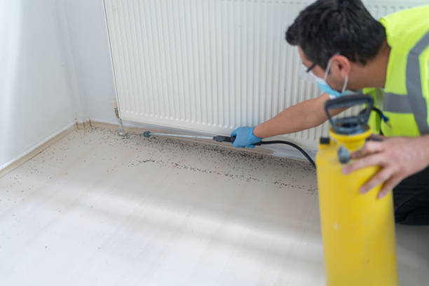 Best Pest Prevention Services  in Barker Heights, NC