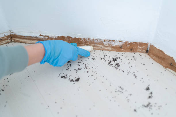 Best Affordable Pest Control Services  in Barker Heights, NC