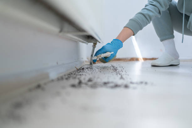 Best Best Pest Control Companies  in Barker Heights, NC