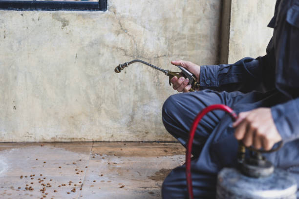 Best Affordable Pest Control Services  in Barker Heights, NC